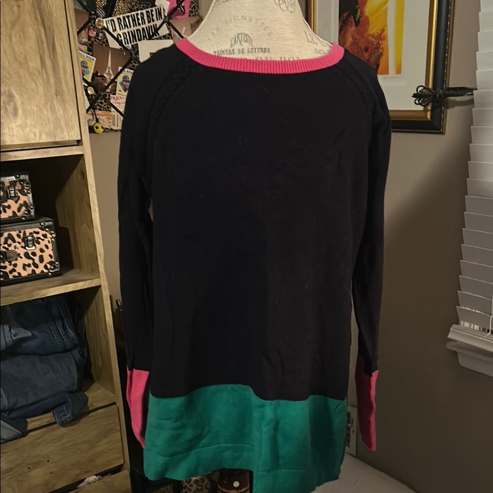 Talbots Black Sweater with Pink & Green Trim - 1X